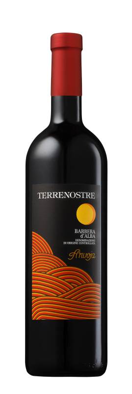 Barbera d’Alba Anvoja