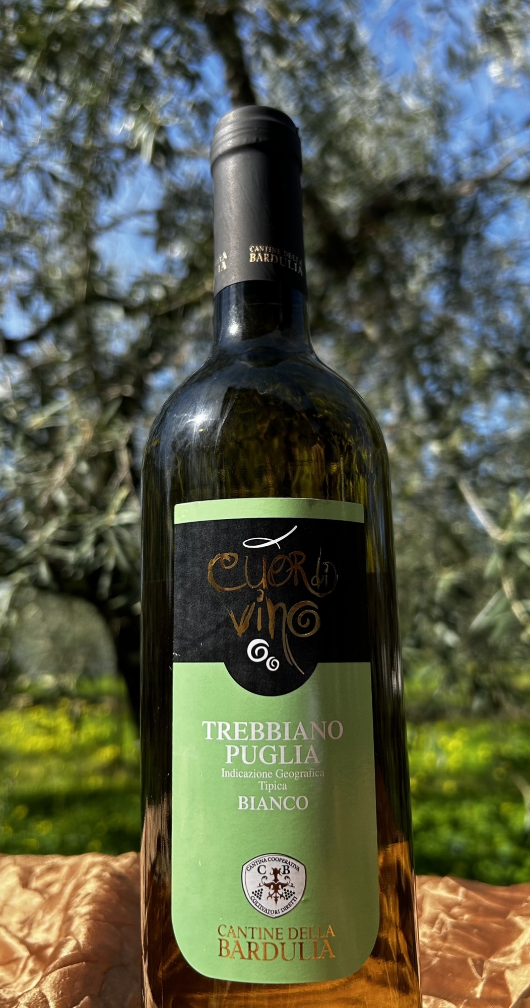 Trebbiano Puglia