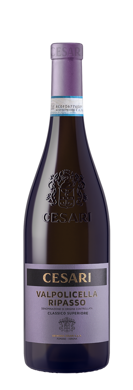 Valpolicella Ripasso Classico Superiore DOC 2023