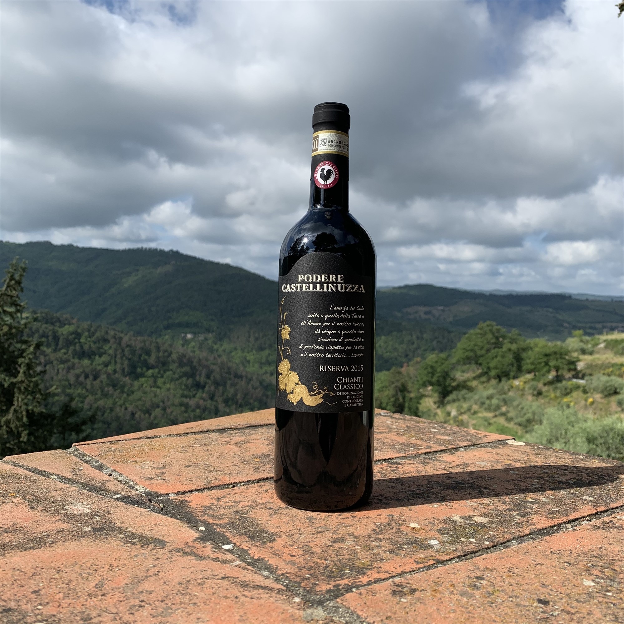 Chianti Classico Riserva Docg BIOLOGICO