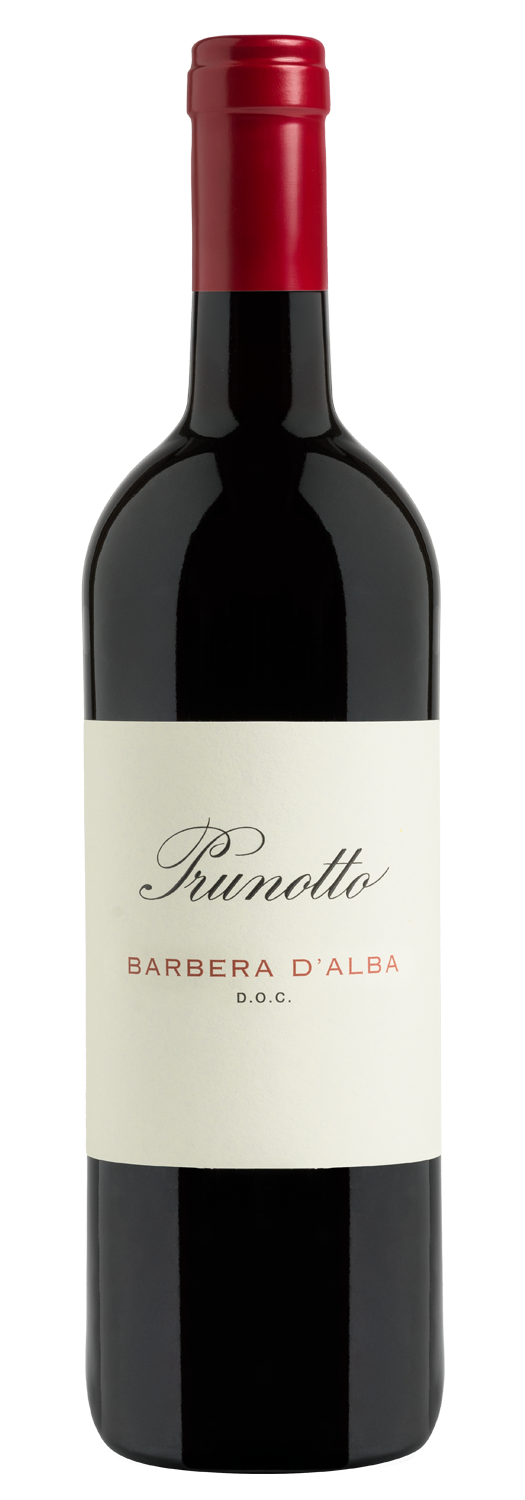 Barbera d'Alba