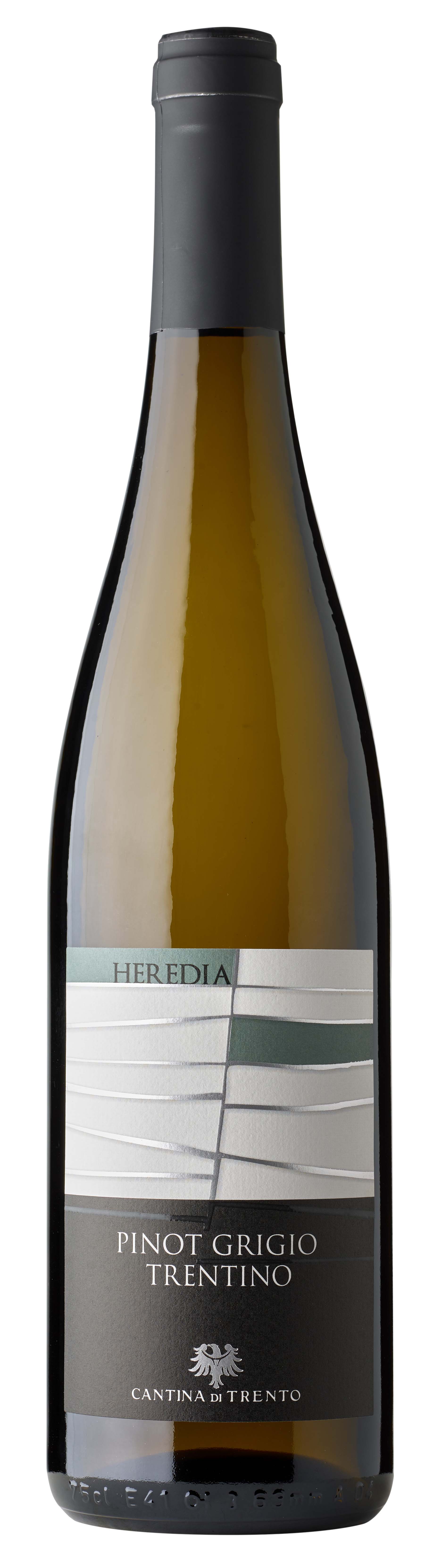 Vino bianco trentino, frutto di terre uniche