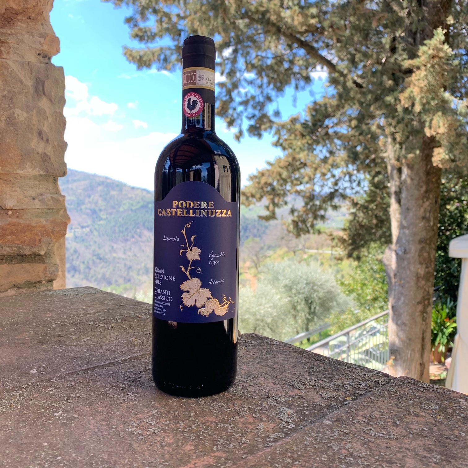 Chianti Classico Docg Gran Selezione- 2019 Vecchie Vigne BIOLOGICO