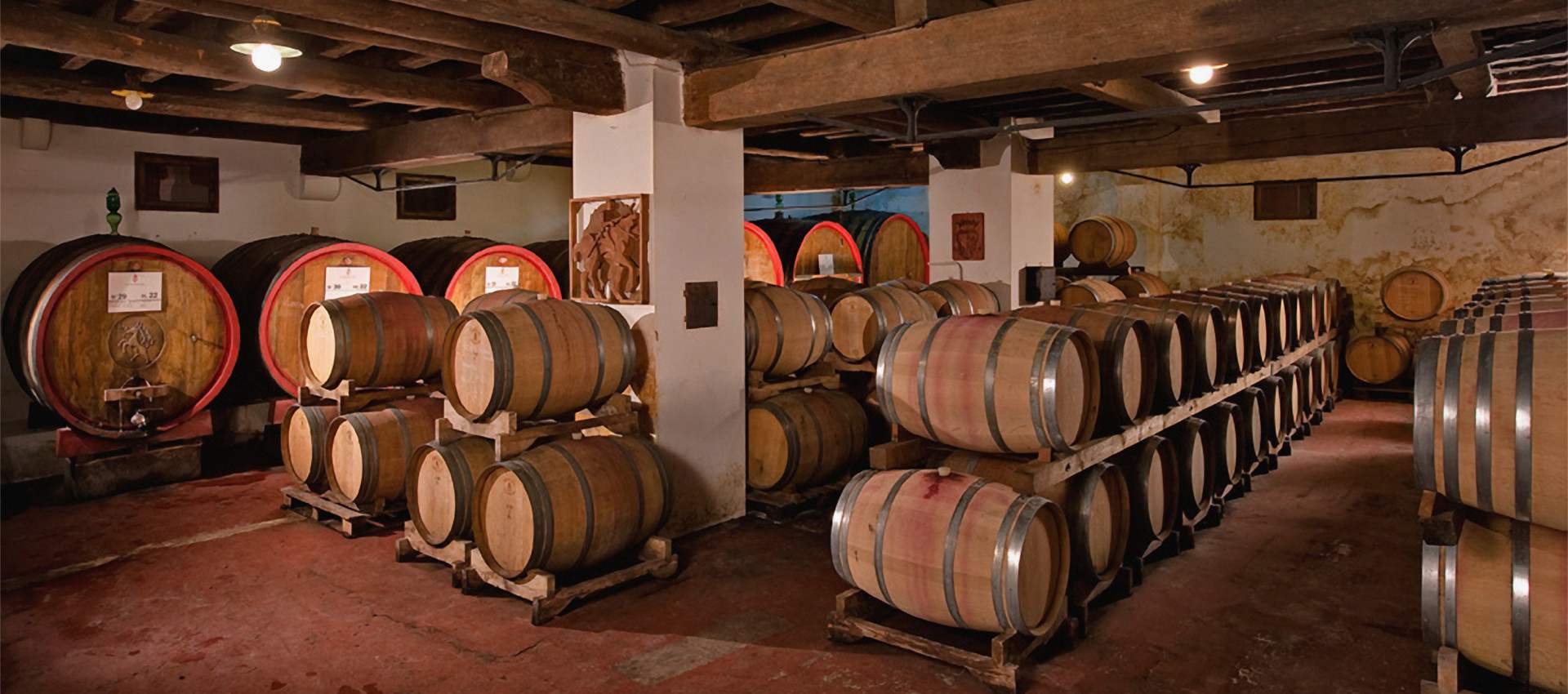 Carlotto merlot colli euganei doc