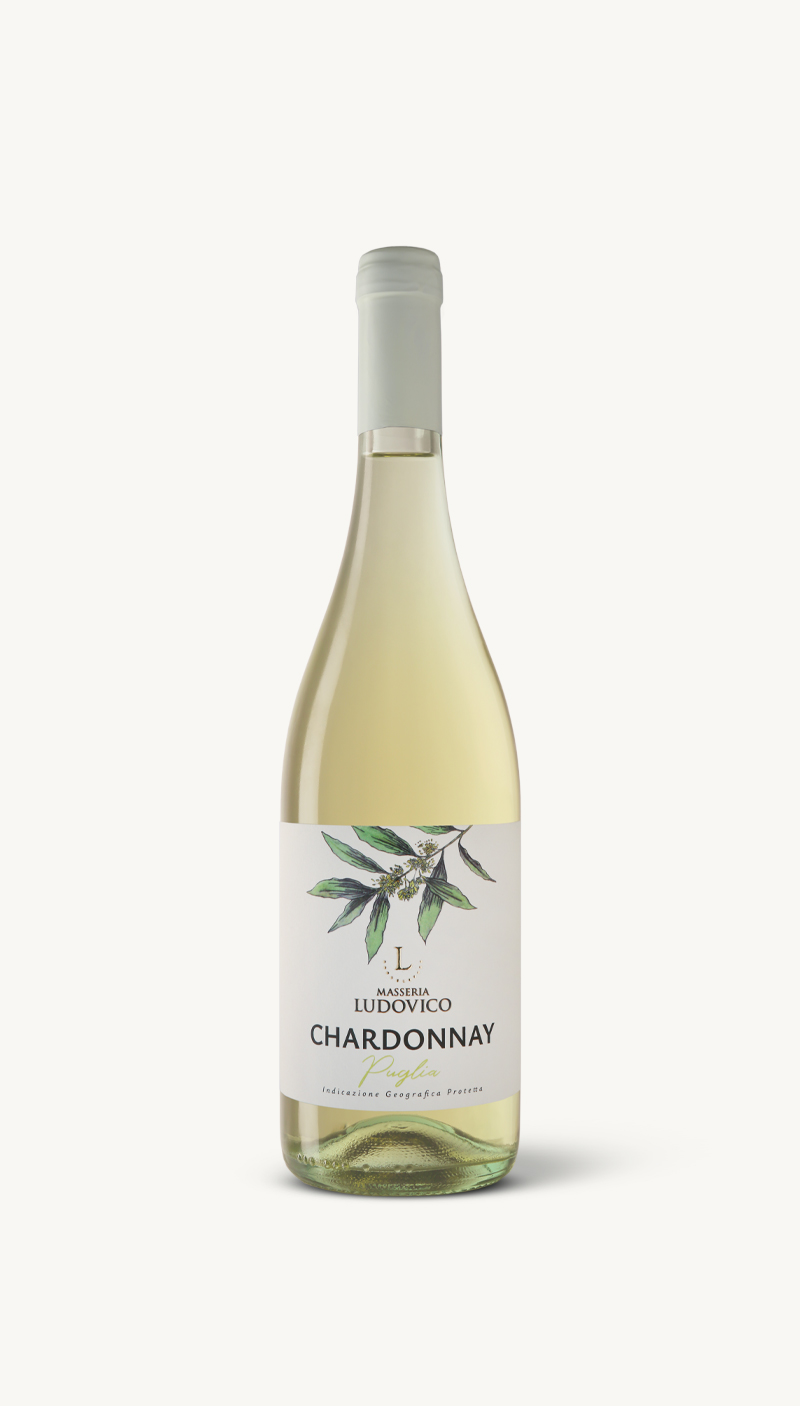100% Chardonnay