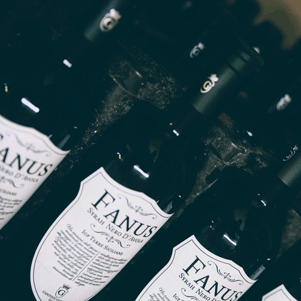 Vino Syrah Fanus: un rosso avvolgente da scoprire