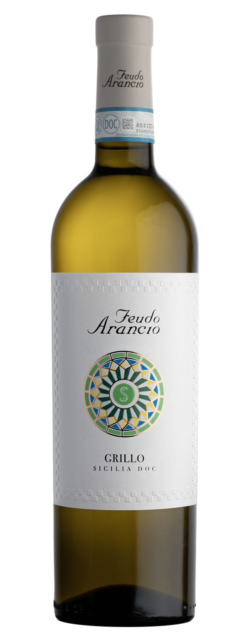 Grillo
