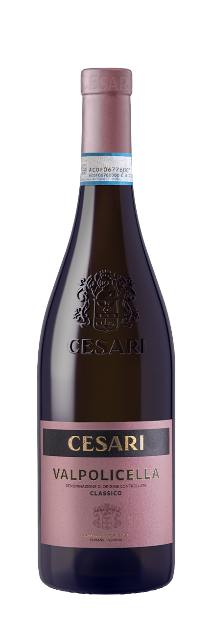 Wines from Valpolicella Lake Garda and Soave