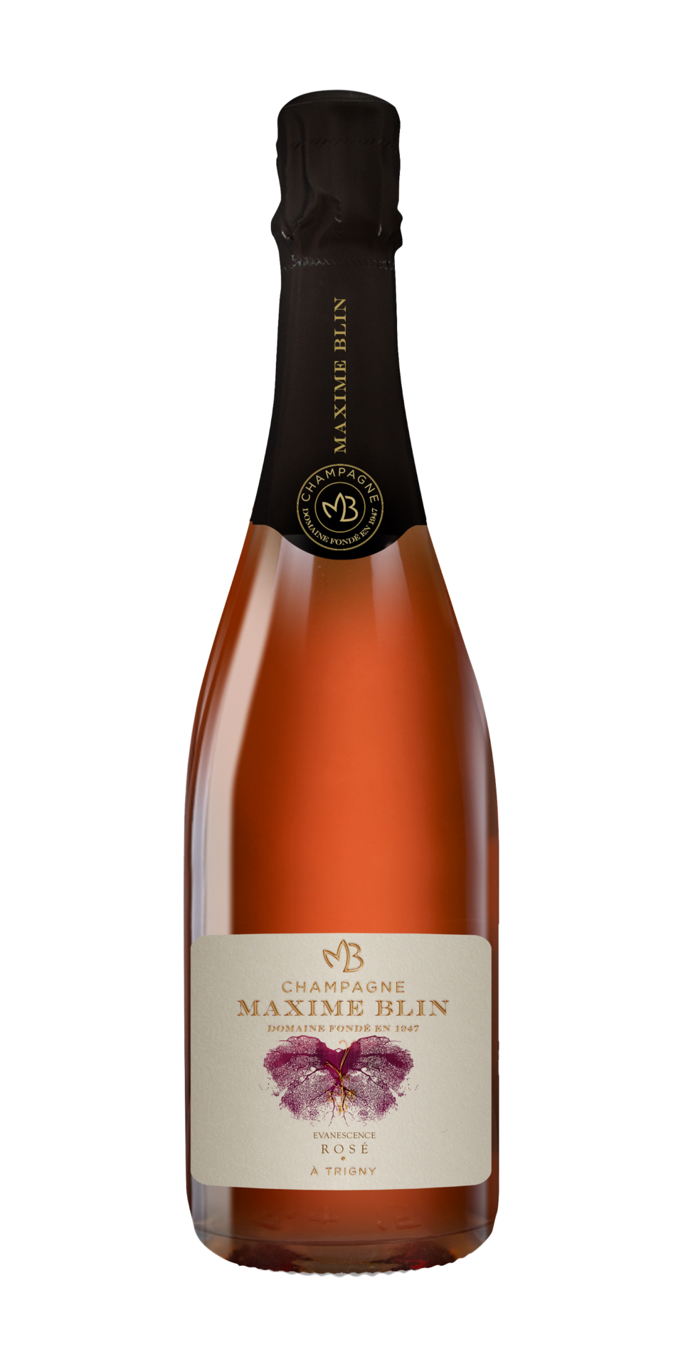 Maxime Blin Evanescence Rosé