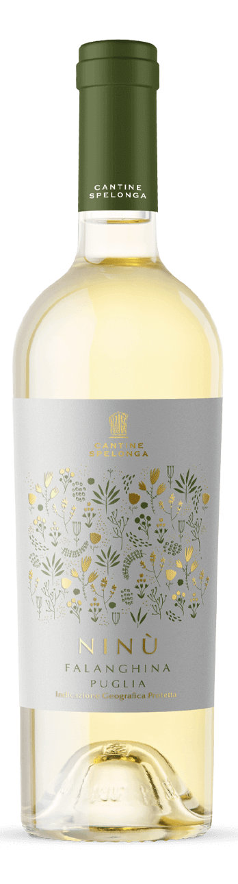 Ninù Bianco