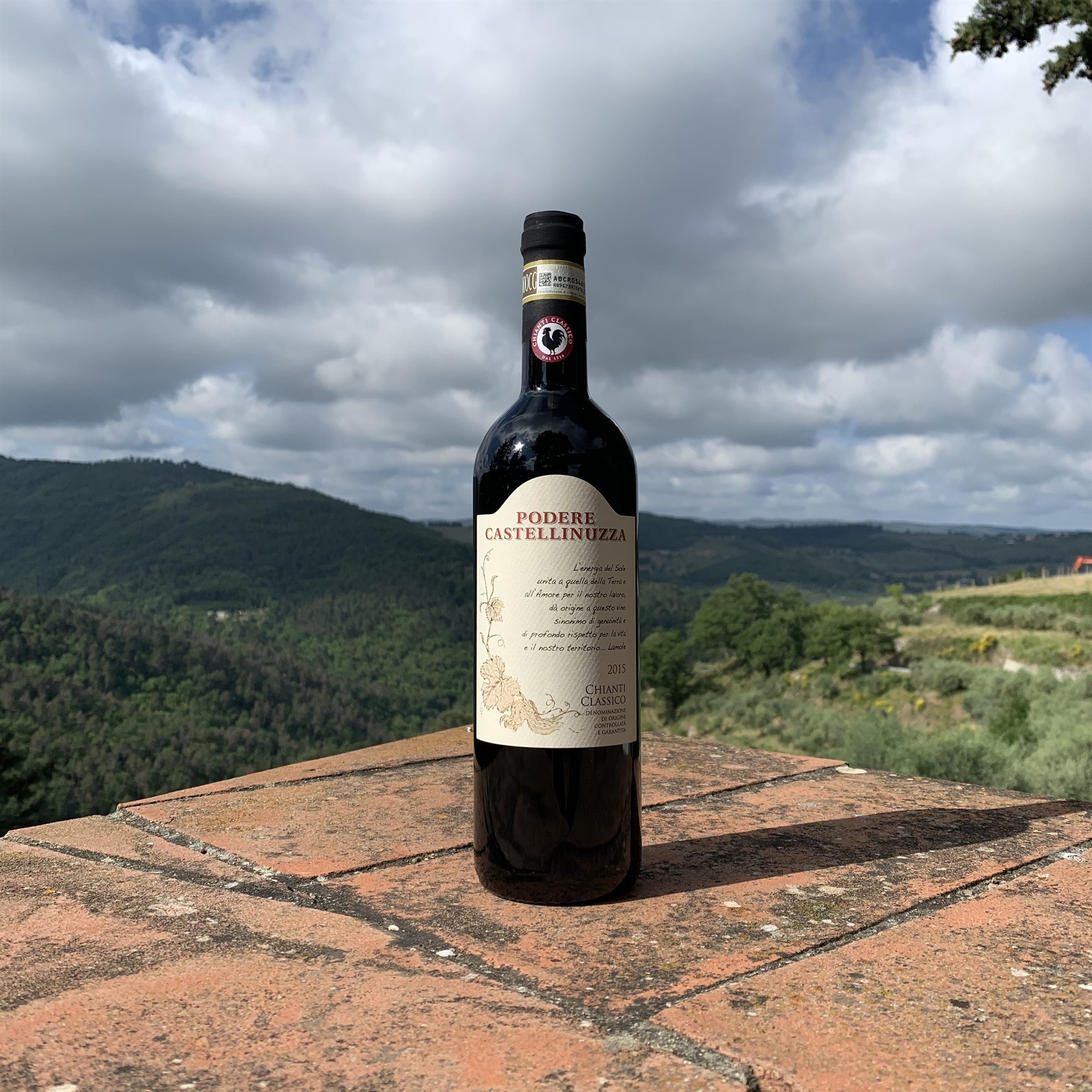 Chianti Classico Docg