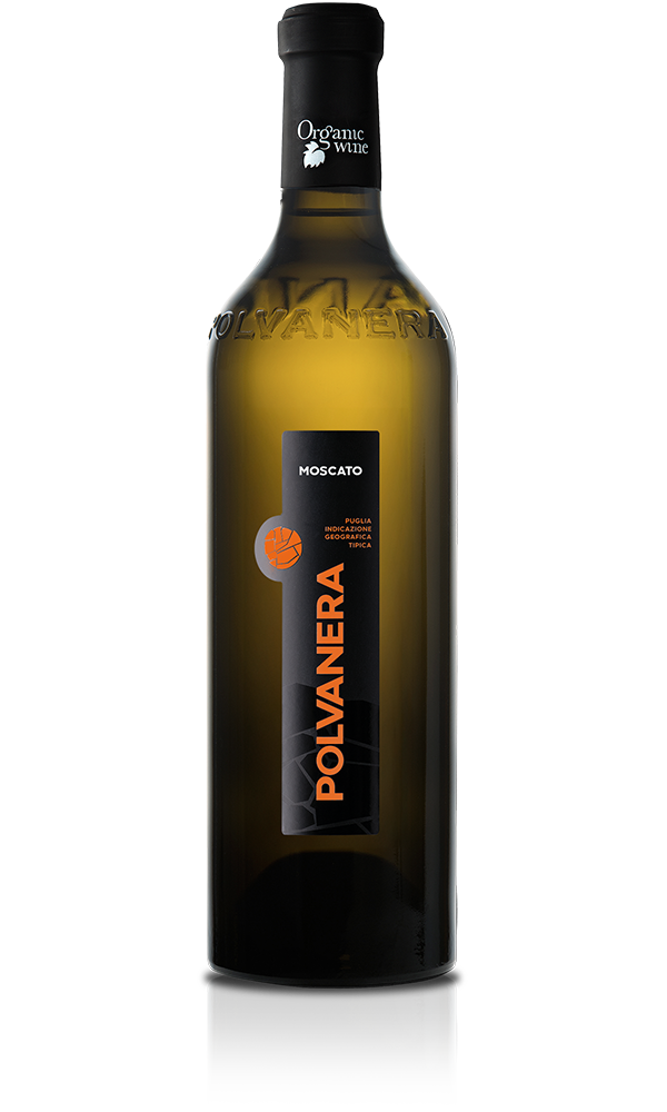 MOSCATO SECCO IGT PUGLIA – BIO