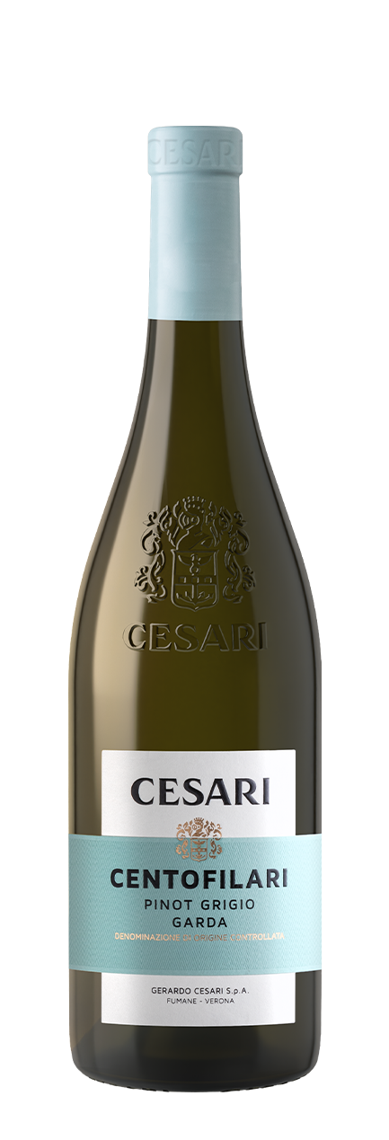Pinot Grigio Garda DOC Centofilari 2024