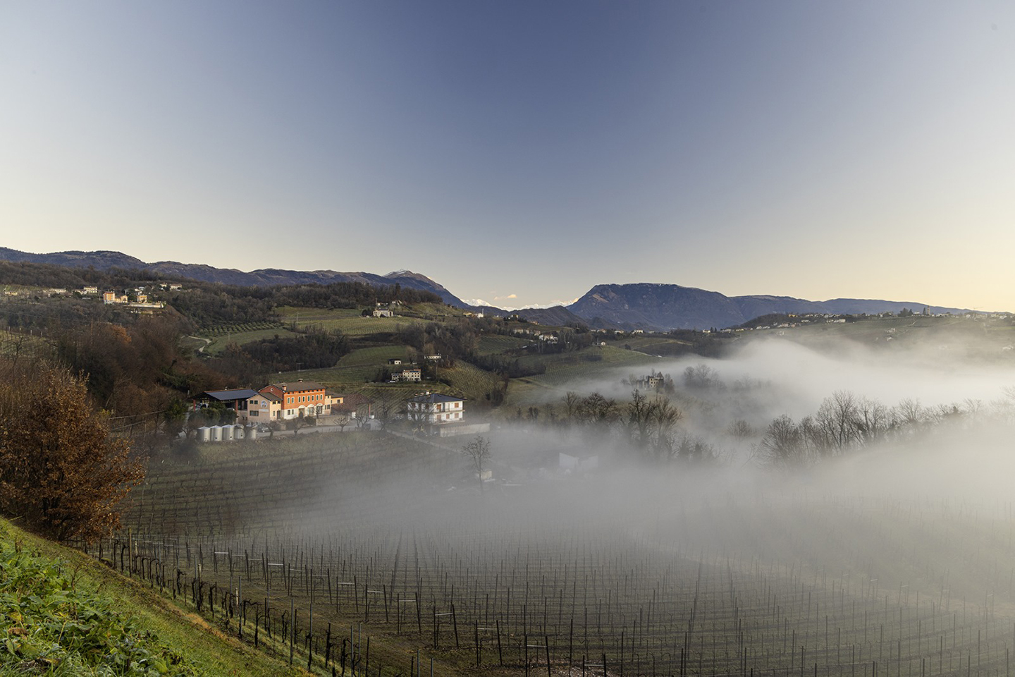 Valdobbiadene Prosecco Superiore DOCG Brut