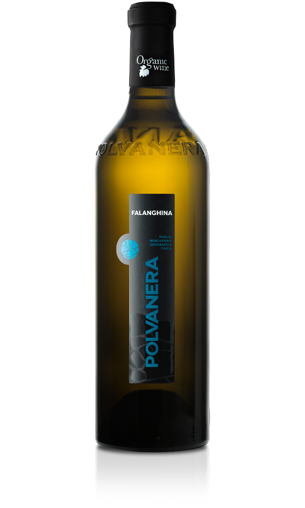 FALANGHINA IGT PUGLIA – BIO