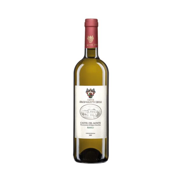 SZO Bianco 2025