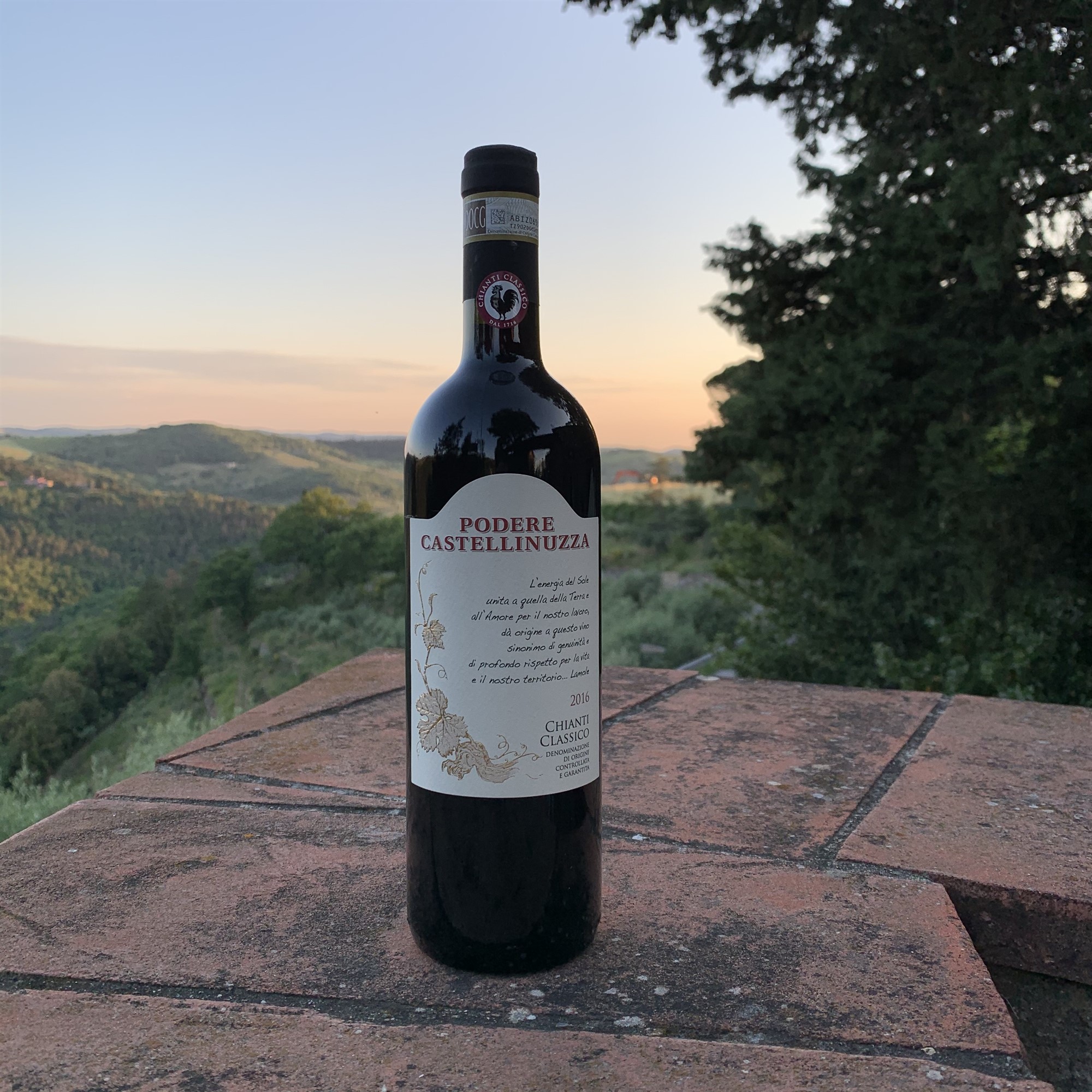 Chianti Classico Docg BIOLOGICO